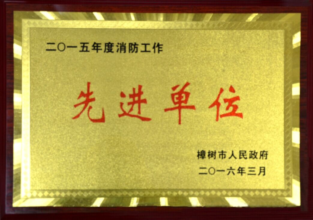 我司荣获樟树市“2015年度消防工作先进单位”荣誉称号