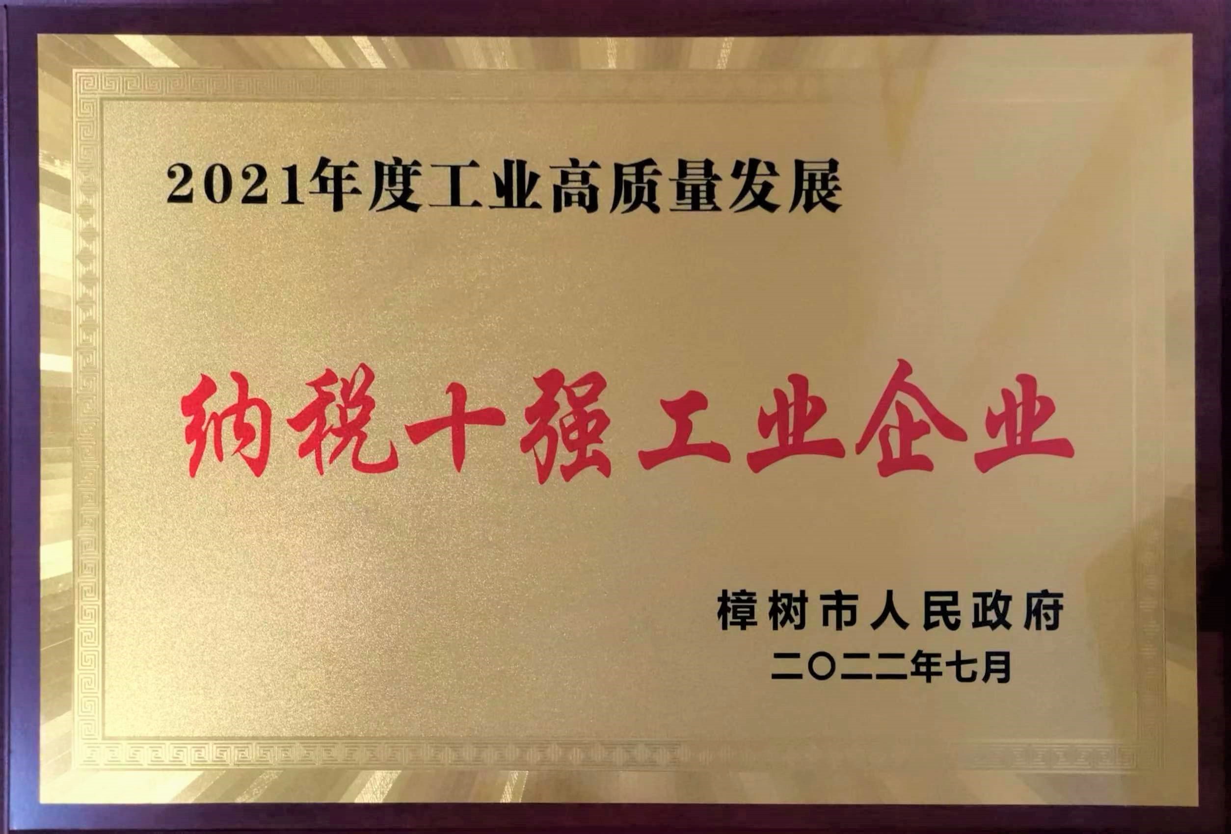 2021年度工业高质量发展 纳税十强工业企业